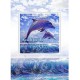 MAGNE-CARD GREETING CARD Dolphin Leap